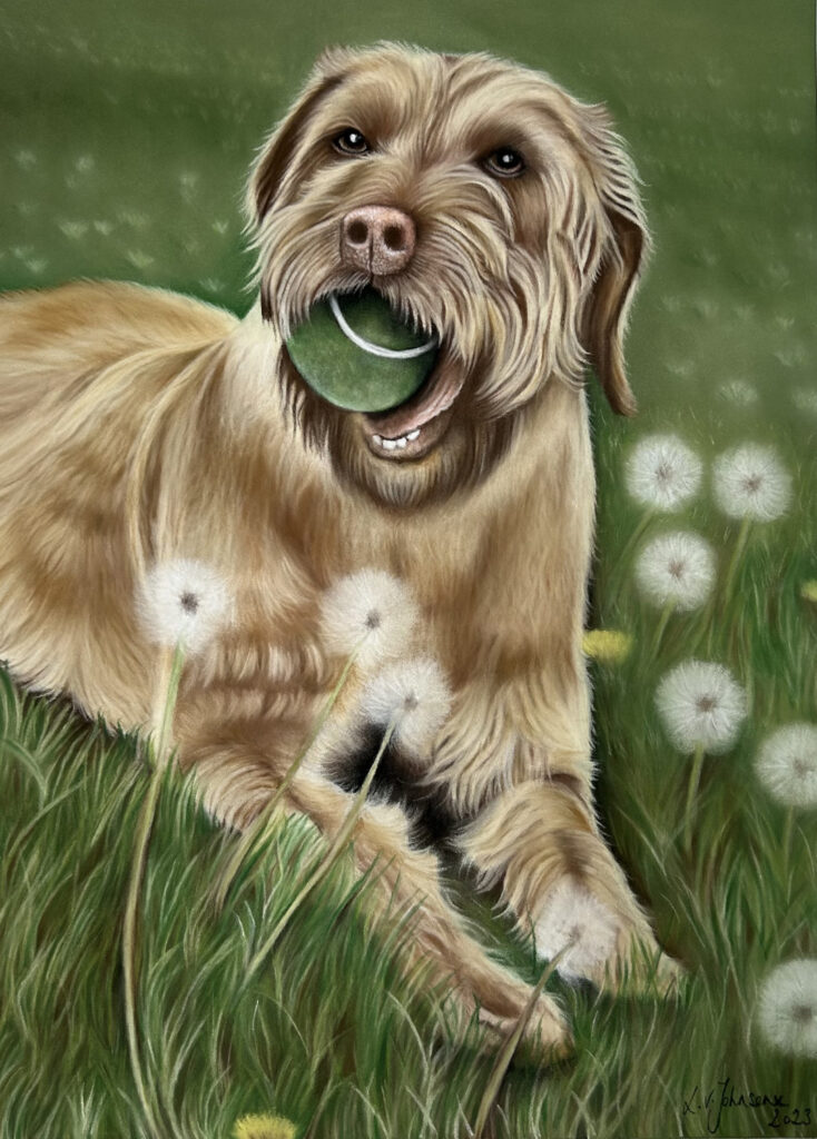 A3 Dog Portrait Commission