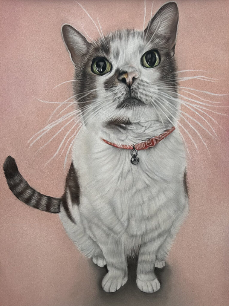 A4 Cat Pet Portrait Commission
