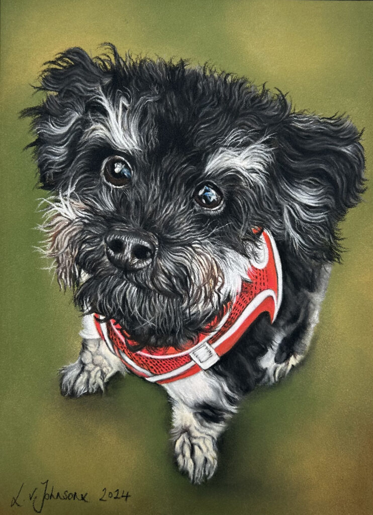 A5 Pet Portrait Commission by Lucy Victoria