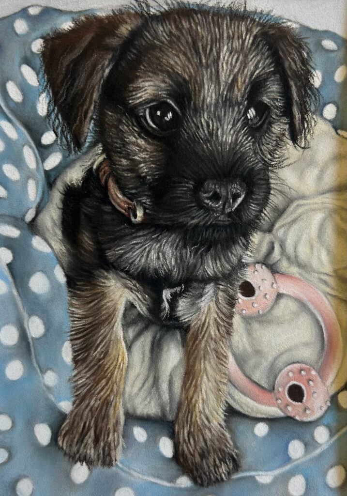 Postcard Pet Portrait by Lucy Johnson