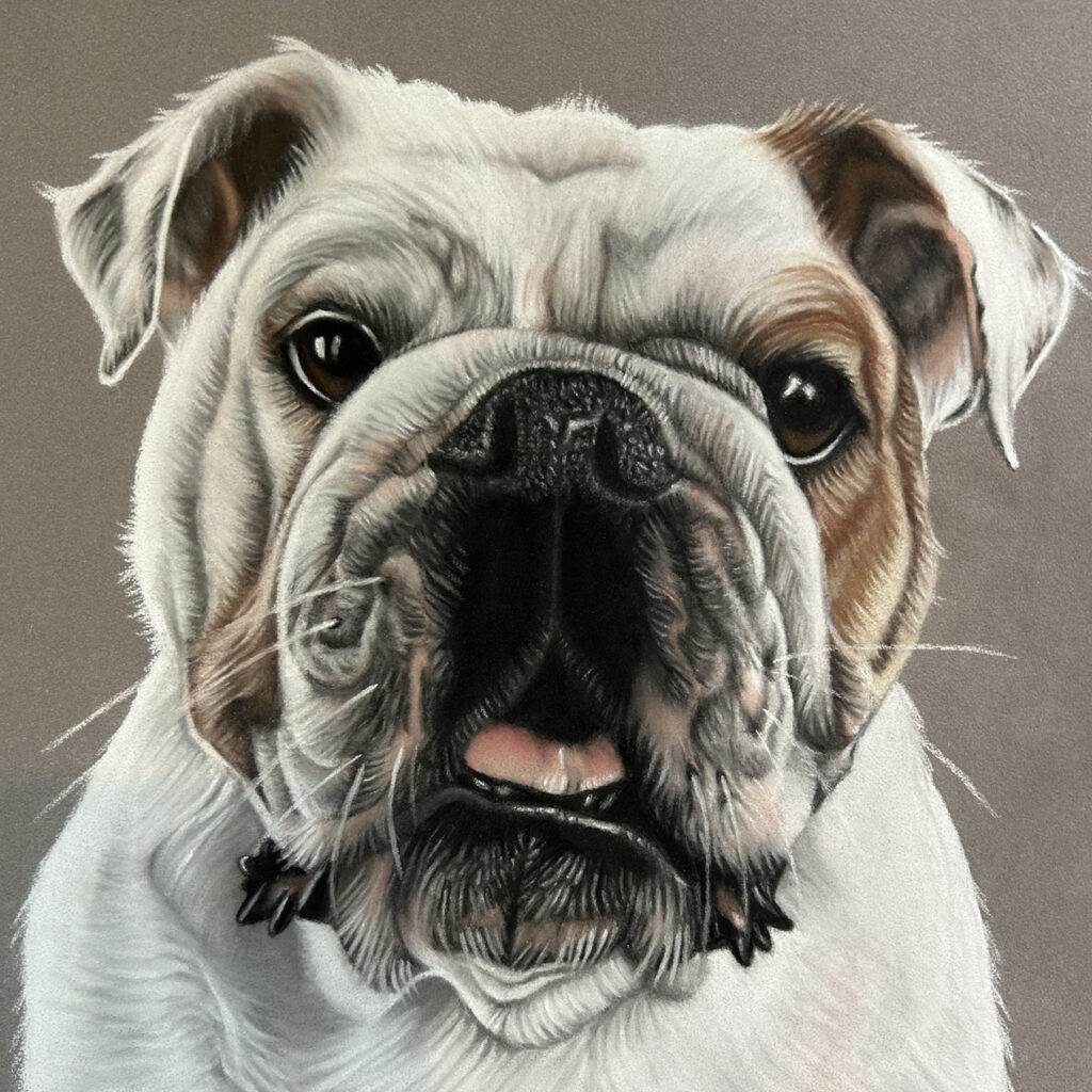 British Bulldog Commission Ronnie by Lucy Victoria Art