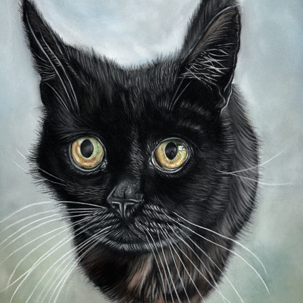 Cat Drawing Leo by Lucy Victoria Art