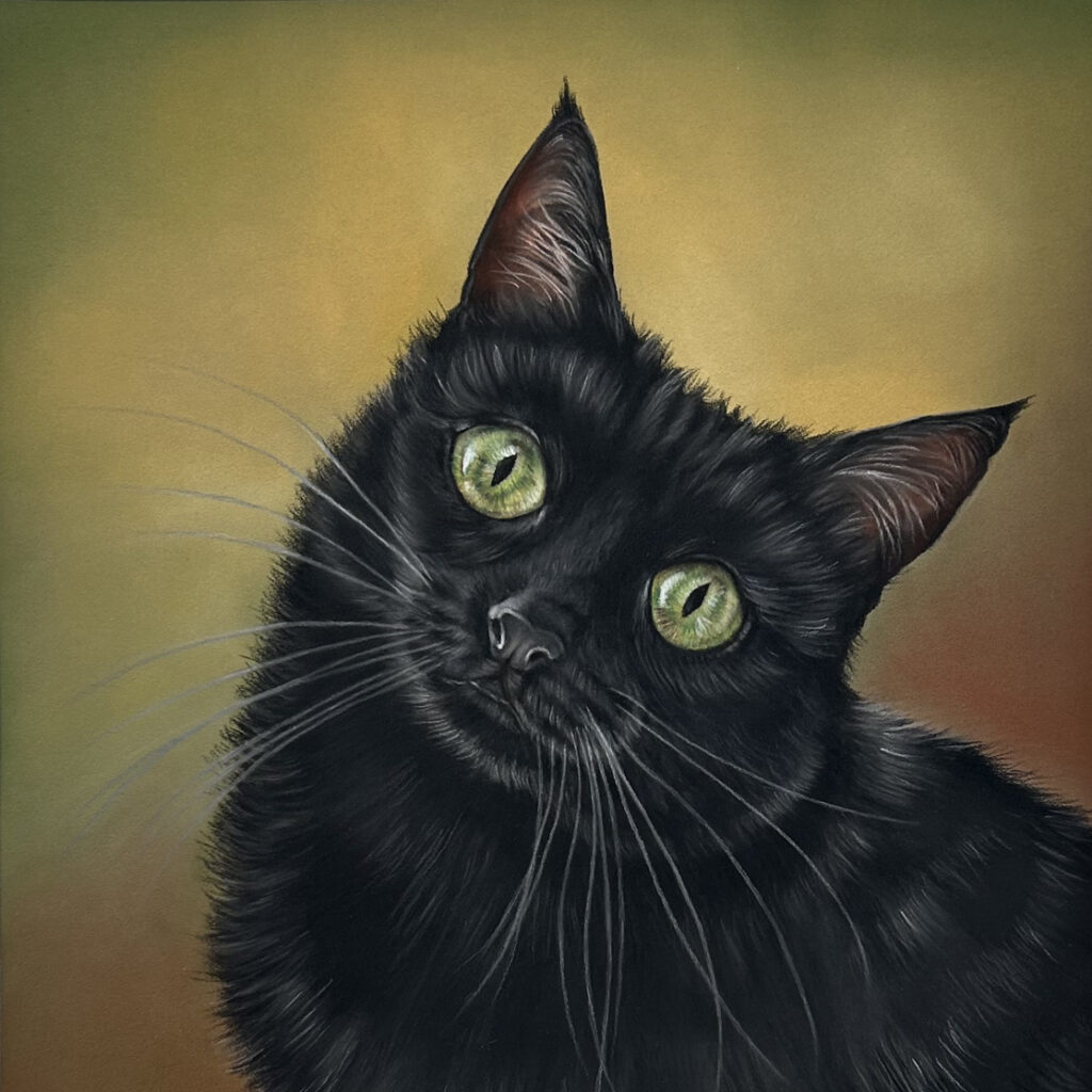 Cat Portrait Charlie by Lucy Victoria Art