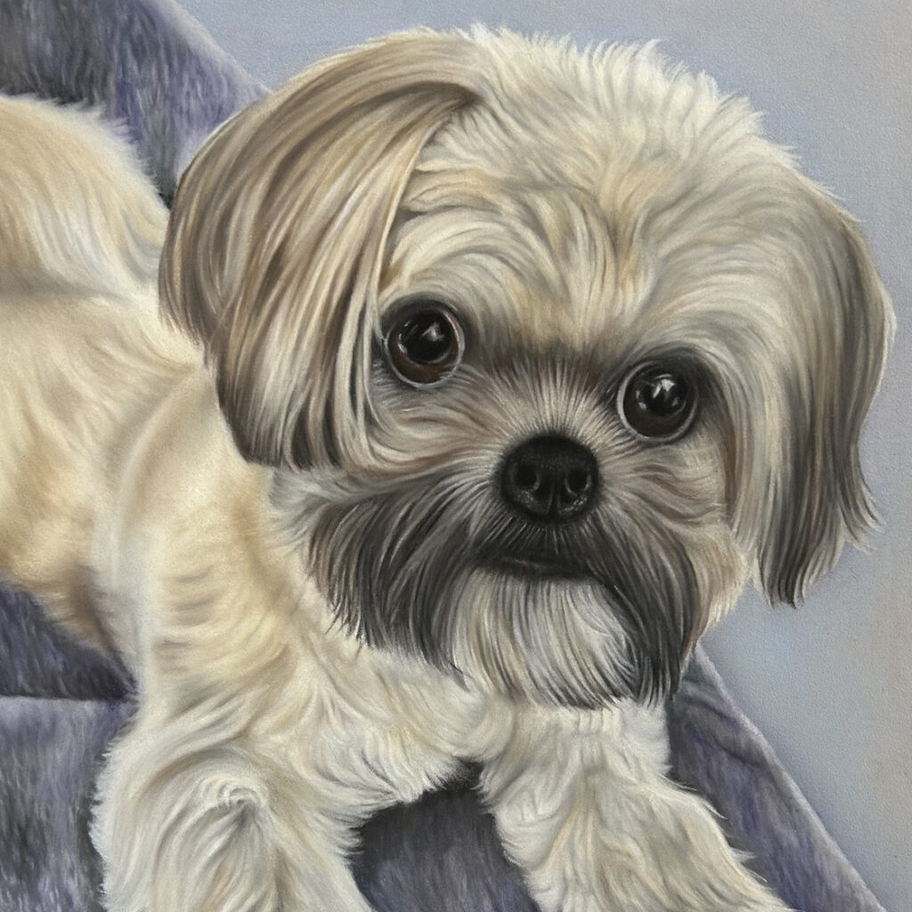 Dog drawing Dusty by Lucy Victoria Art