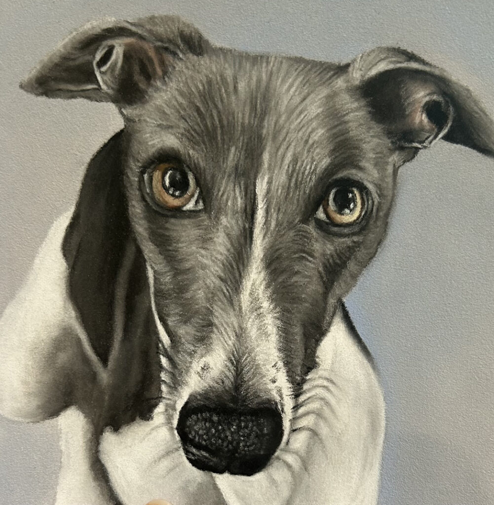 Greyhoud Portrait Eric by Lucy Victoria Art