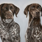 GSP Dog Portrait by Lucy Victoria Art