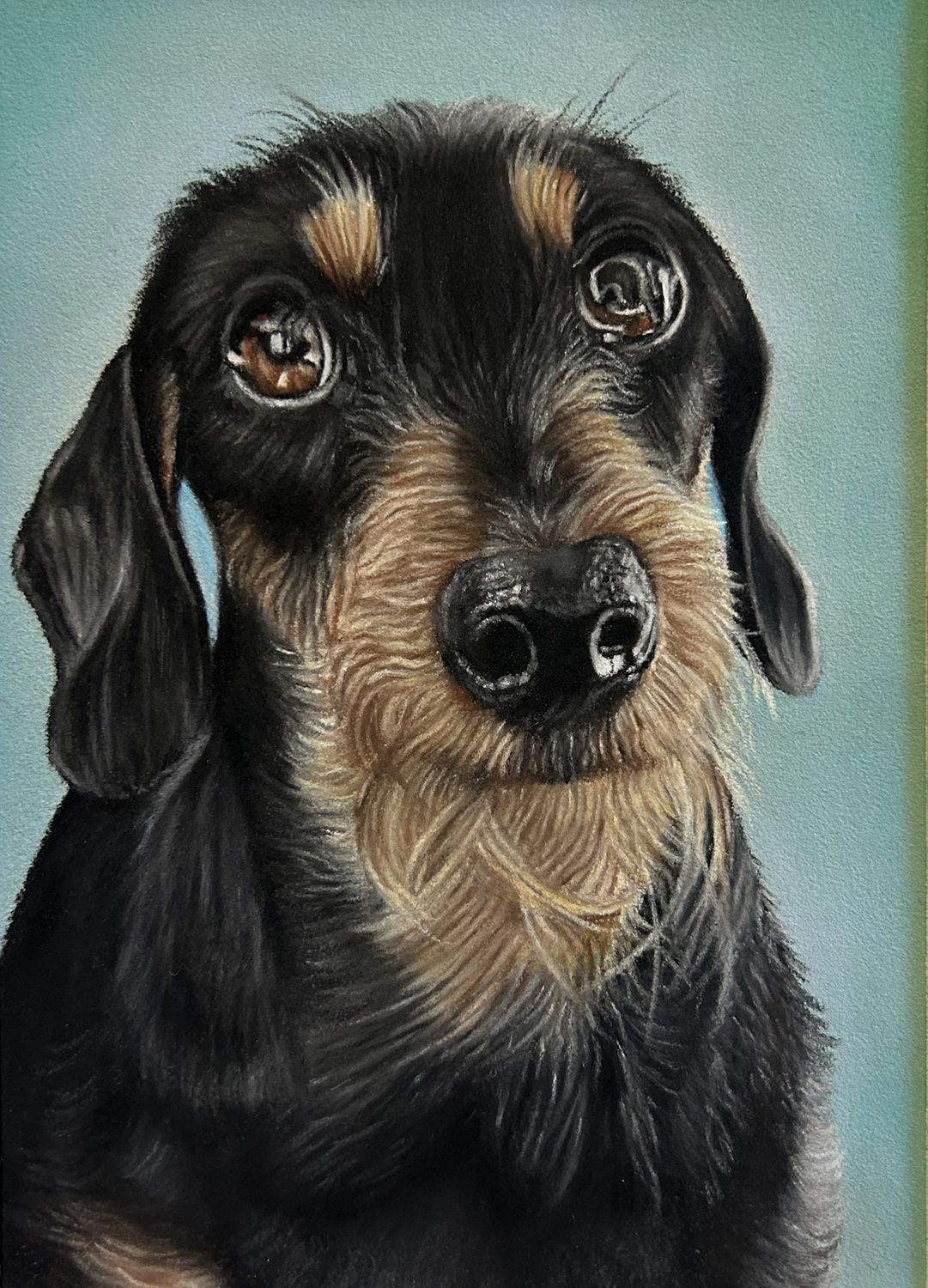Harold Dog Portrait by Lucy Victoria Art