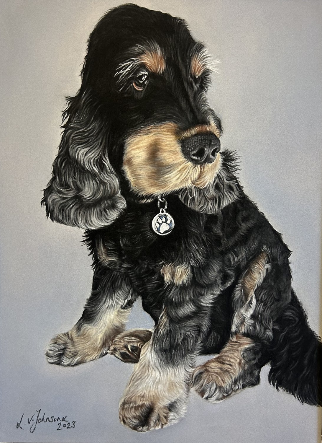Harvey Cocker Spaniel Dog Portrait by Lucy Victoria Art