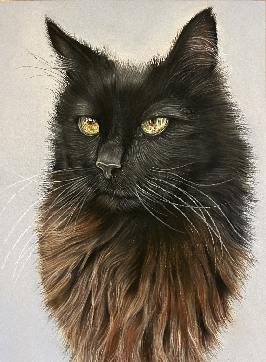 Marley Cat Portrait by Lucy Victoria Art