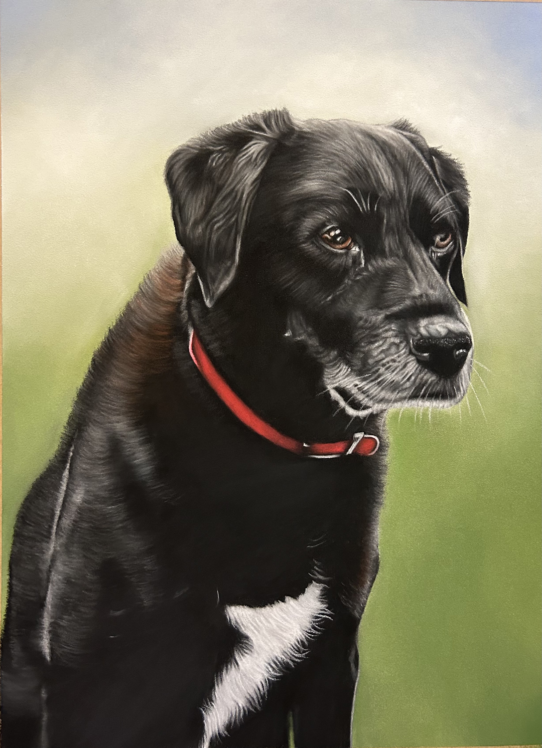 Max Labrador Dog Portrait by Lucy Victoria Art