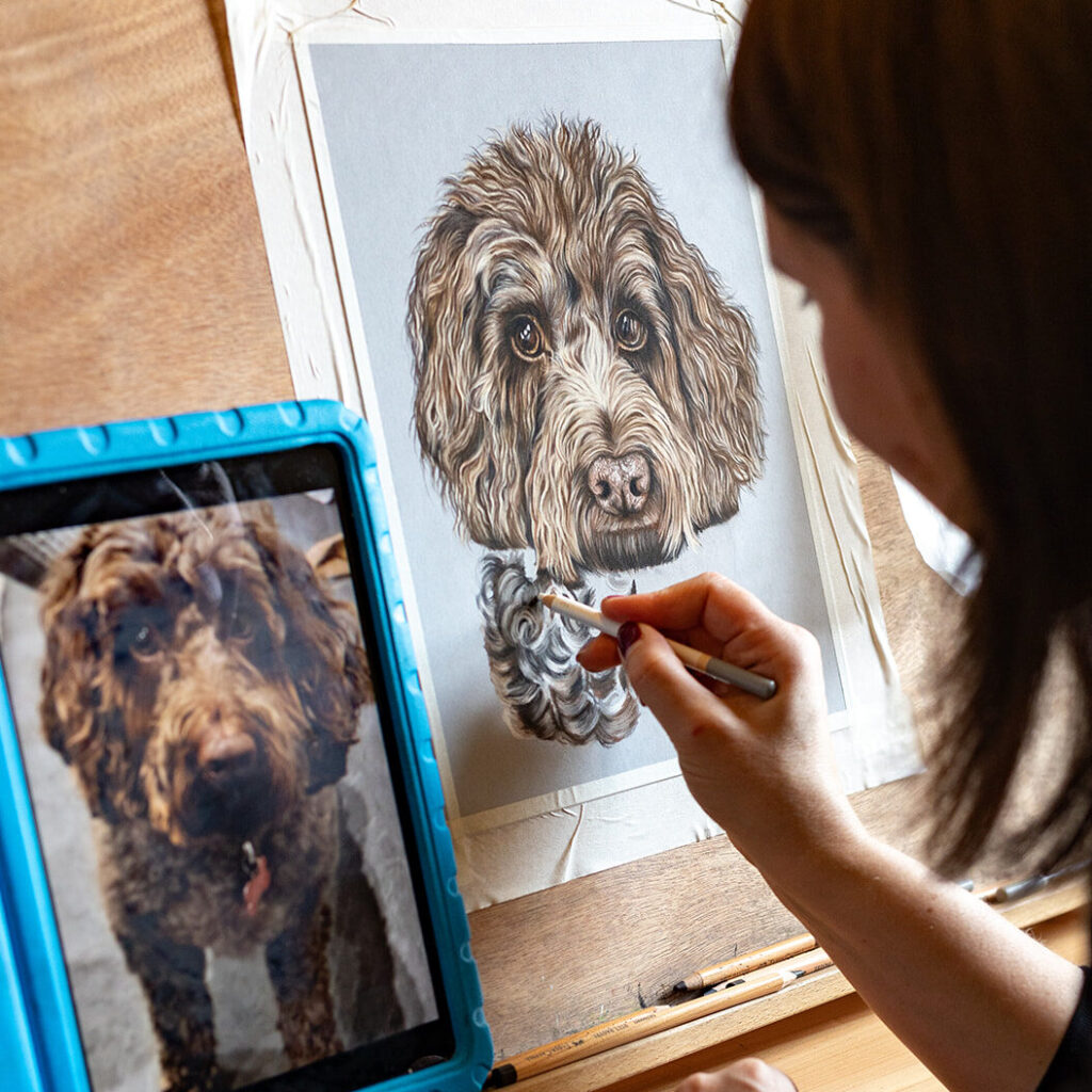 Dog commission by animal artist Lucy Victoria