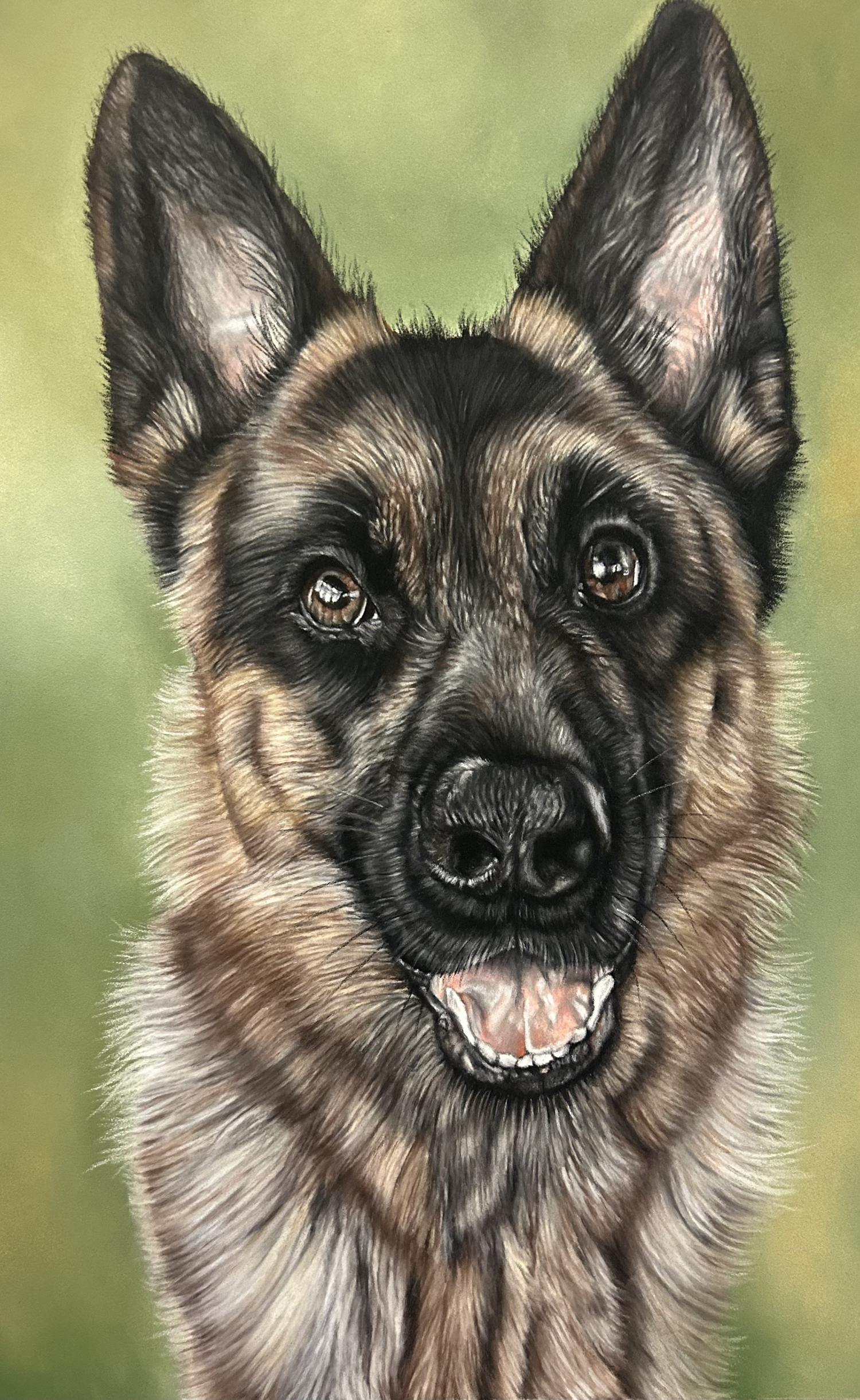 Skye German Shepherd Dog Portrait by Lucy Victoria Art