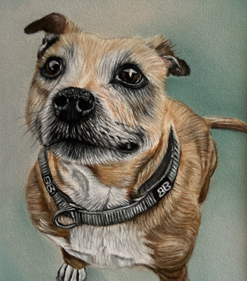 Memorial Portrait of Roxy the Dog by Lucy