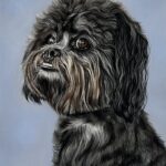Pet Portrait of Frank the Dog by Lucy Victoria Art