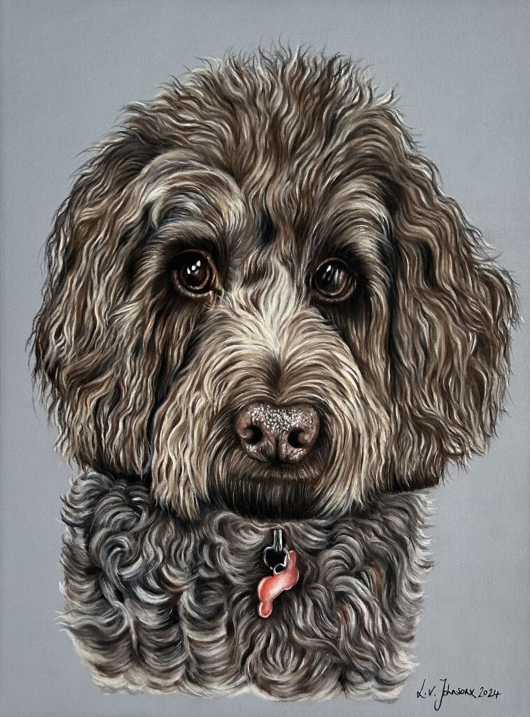 Therapy Dog Zoey Pet Portrait by Lucy Johnson